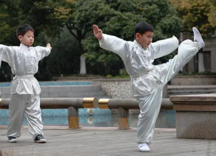 学武术针对性,学武术方面